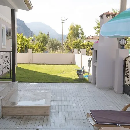 Palmiye Ortaca (Mugla)