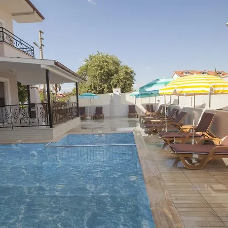 Palmiye Ortaca (Mugla)