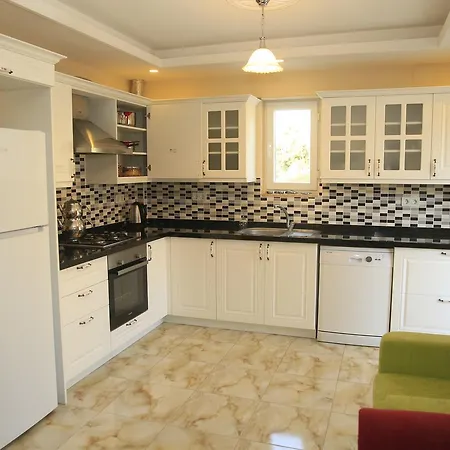 Palmiye Ortaca (Mugla)